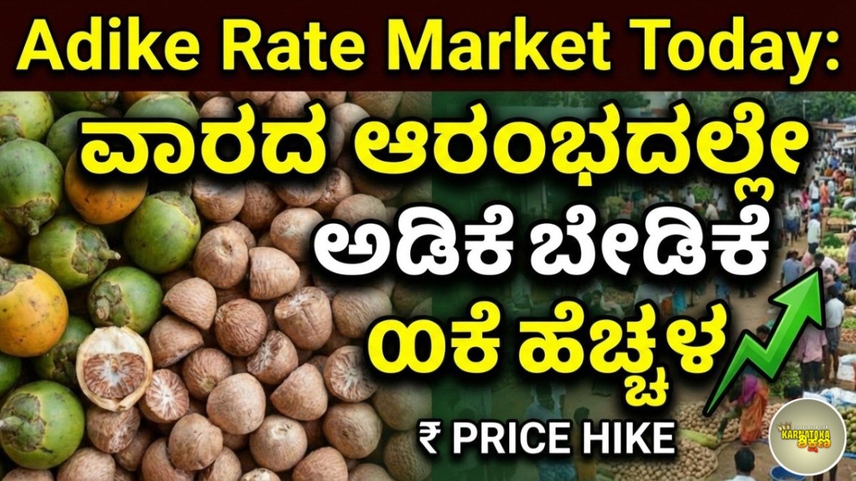 Adike Rate Market Today